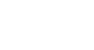Wirehive 100